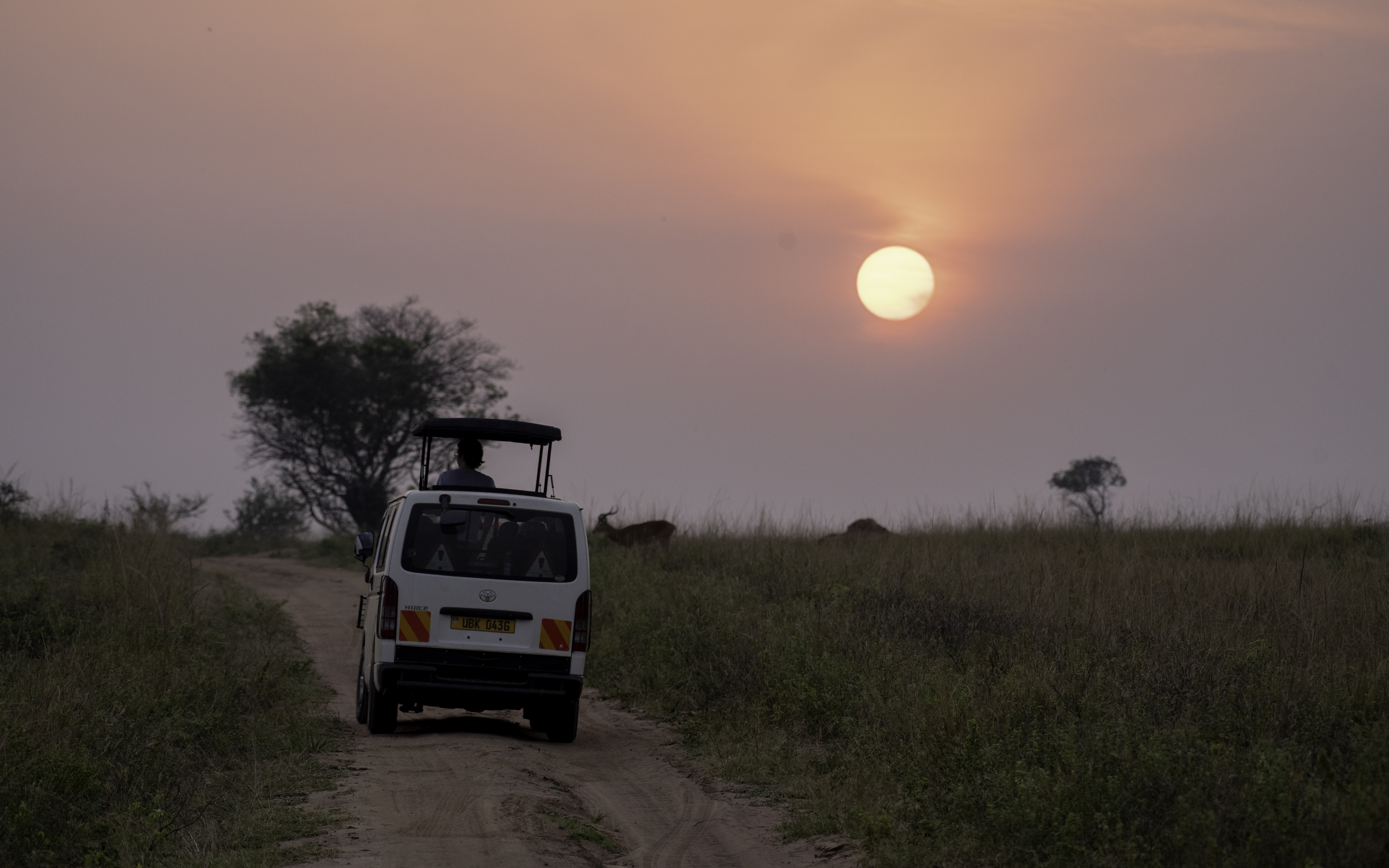 Wildlife Safaris